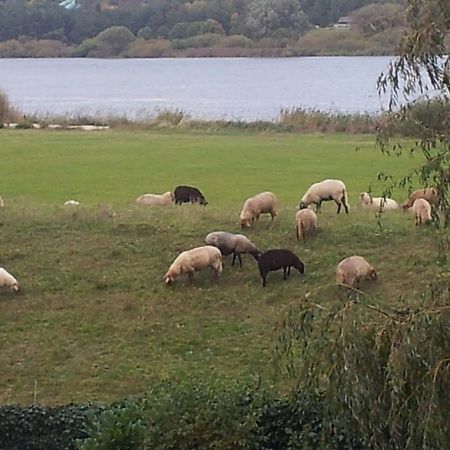 Elbe-Ferien 2 Lägenhet Tespe Exteriör bild