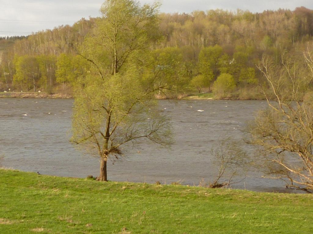 Elbe-Ferien 2 Lägenhet Tespe Rum bild